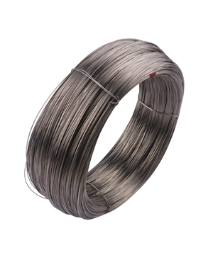 304�����˿